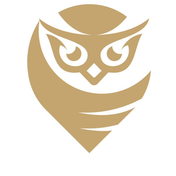 DigiWise PLR Store